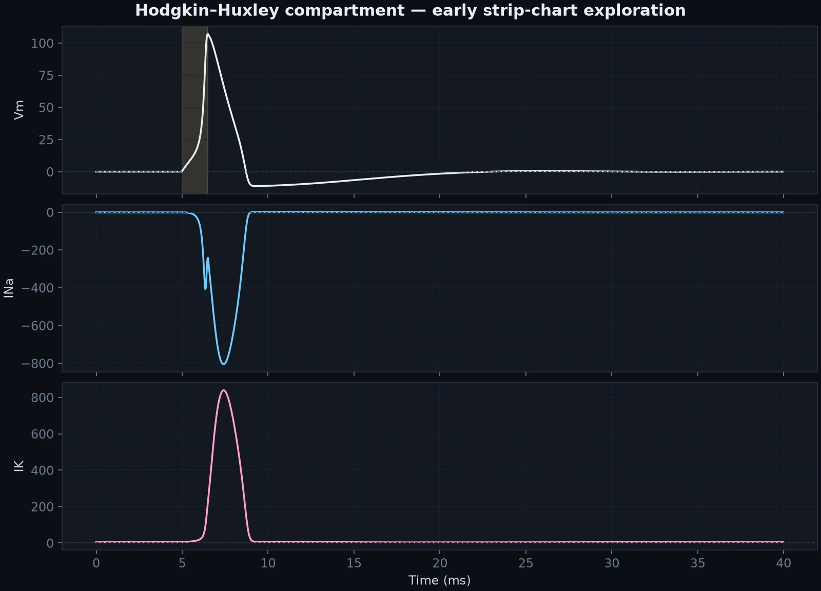 Hodgkin–Huxley compartment waveforms